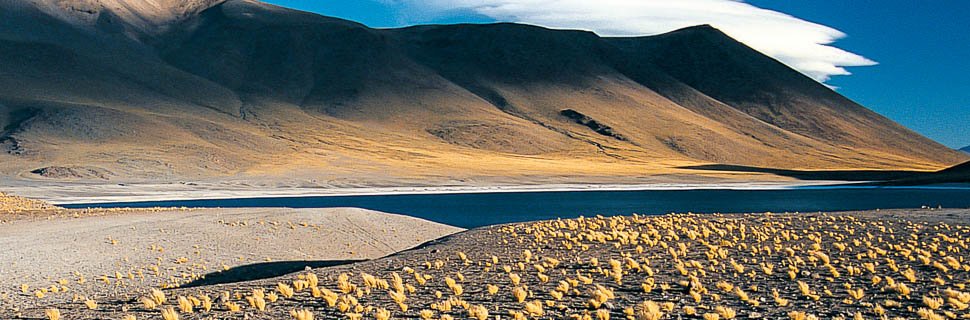Altiplano und Seenlandschaft in Chile