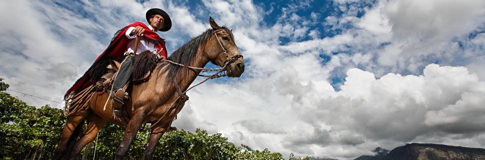 Gaucho reitet durch die Wildnis in Argentinien, Chile
