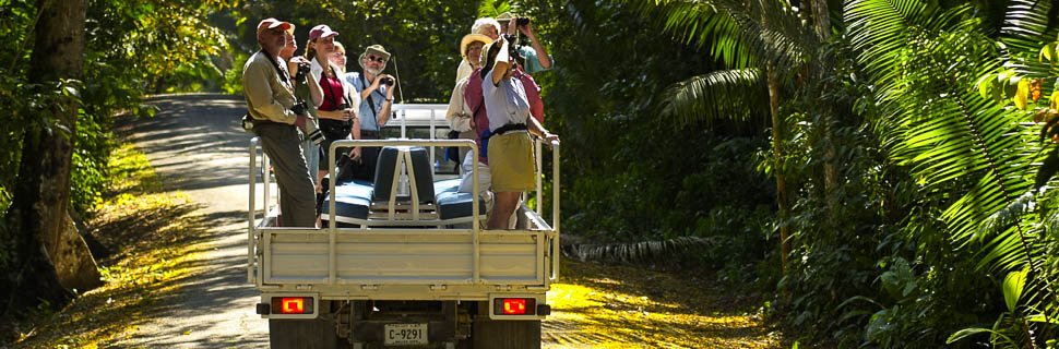 Vogelbeobachtung in Belize vom Safariauto aus, Mexiko