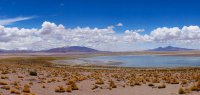 Salar- und Wüstenlandschaft in Chile