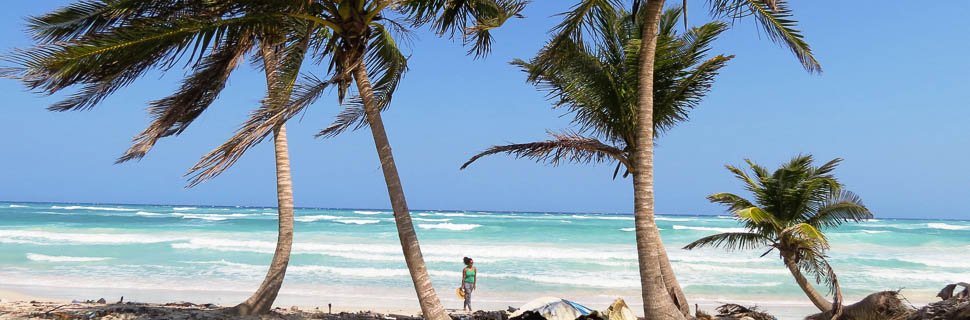 Palmen am Strand in Mexiko
