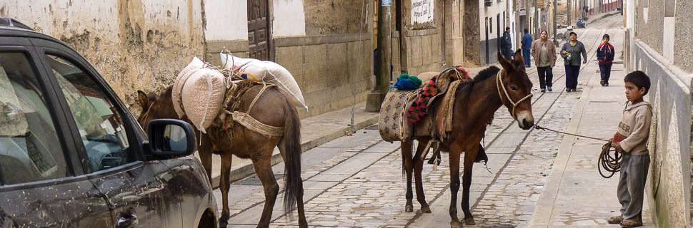 Esel auf einer Pflasterstraße in Peru