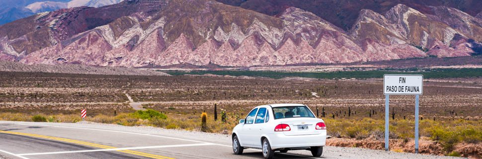 Landschaft im Cactus Nationalpark in Argentinien